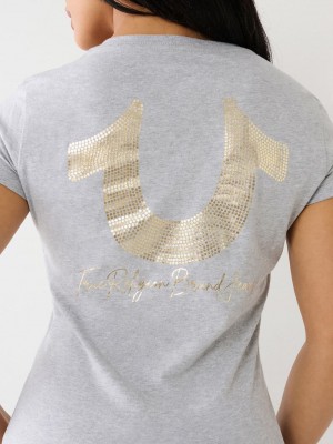 True Religion Horseshoe Logo V T-Shirts Damen Grau | 45027SNGQ
